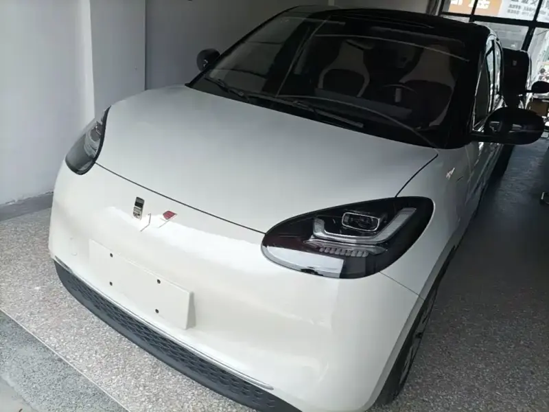 Wuling Bingo, 2023