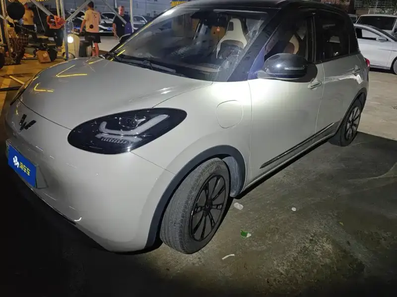 Wuling Bingo, 2024