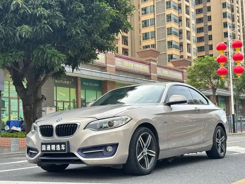 BMW 2 Series (Import), 2014