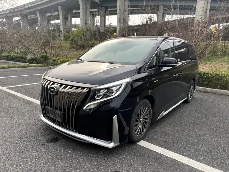GAC Motor Trumpchi M8, 2022