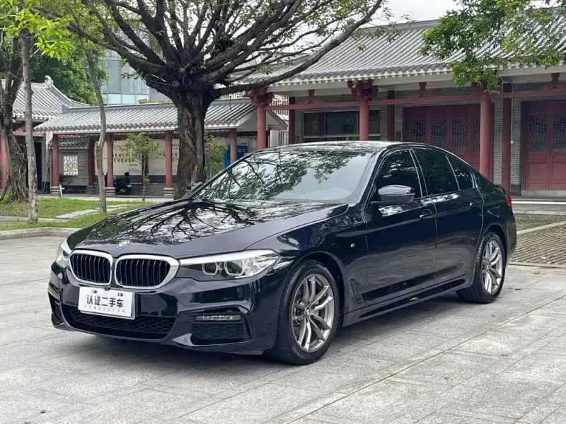 BMW 5 Series (Import), 2019 — фото 1