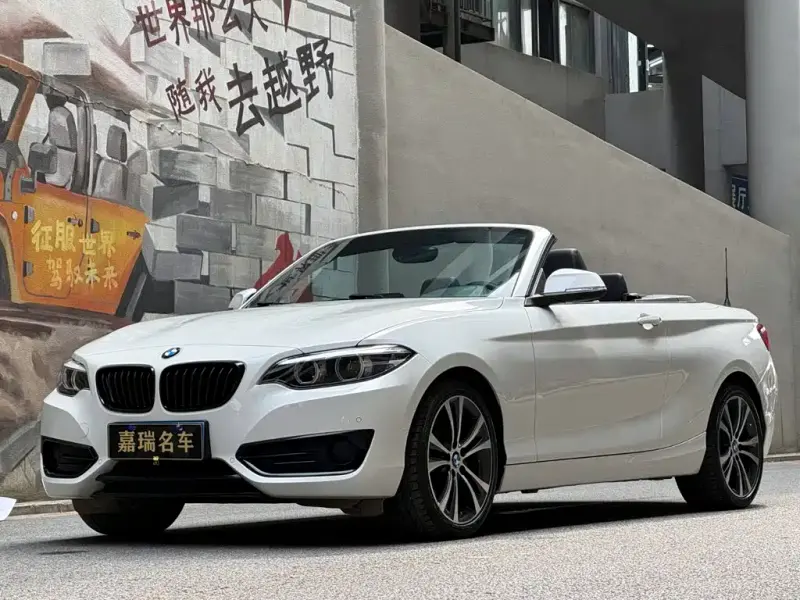 BMW 2 Series (Import), 2021 — фото 1