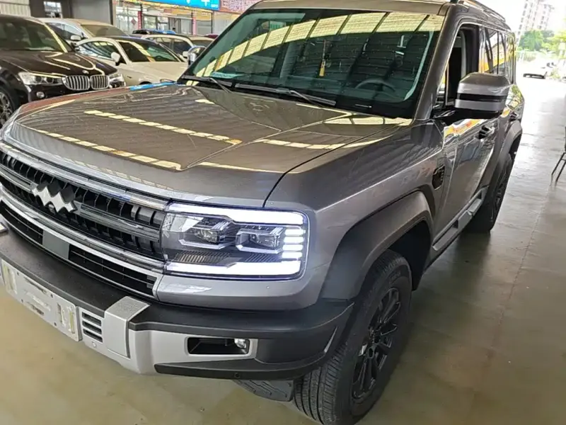 Fang Cheng Bao Leopard 5, 2024