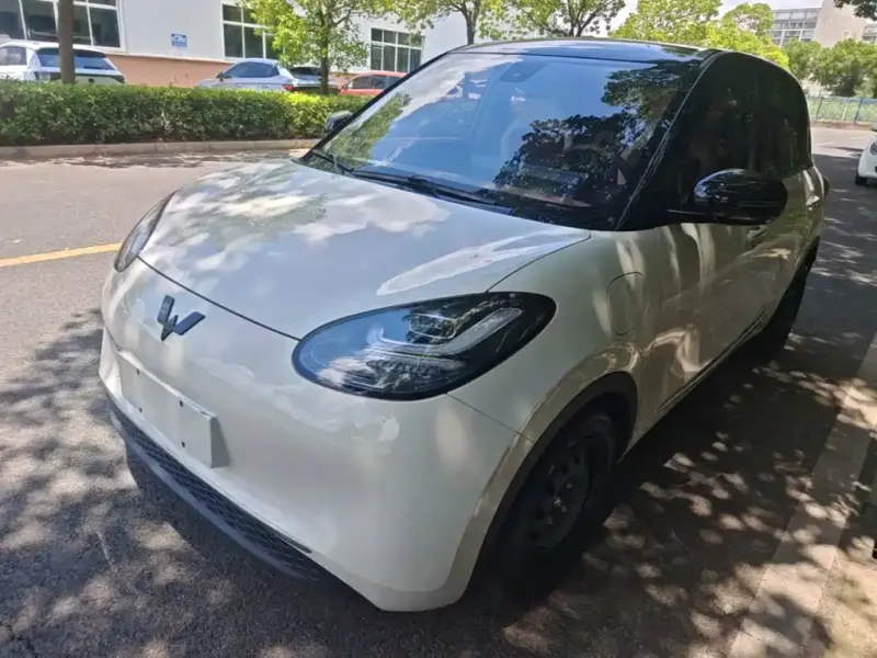 Wuling Bingo, 2024