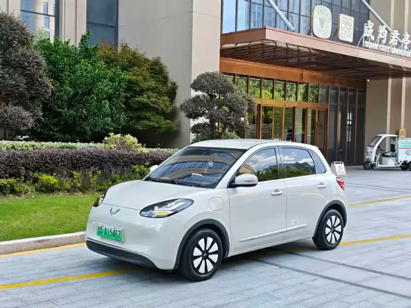 Wuling Bingo, 2025