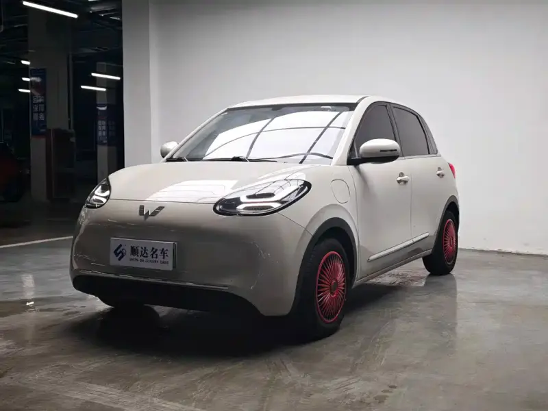 Wuling Bingo, 2024