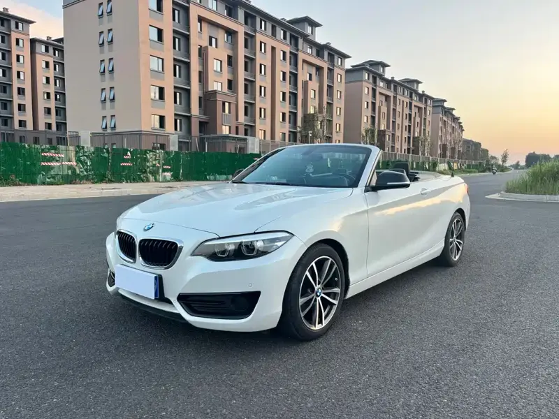 BMW 2 Series (Import), 2019