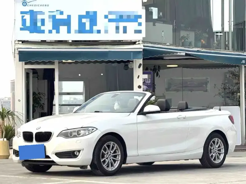 BMW 2 Series (Import), 2017