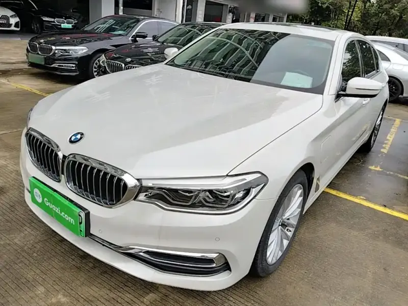 BMW 5 Series New Energy, 2020 — фото 1