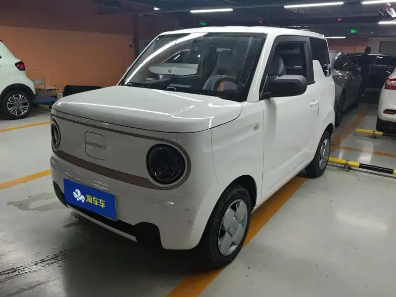 Galaxy Panda, 2024