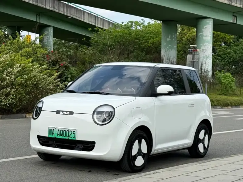 Qiyuan Lumin, 2023