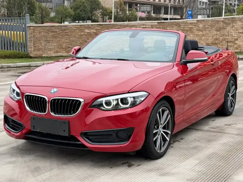 BMW 2 Series (Import), 2018