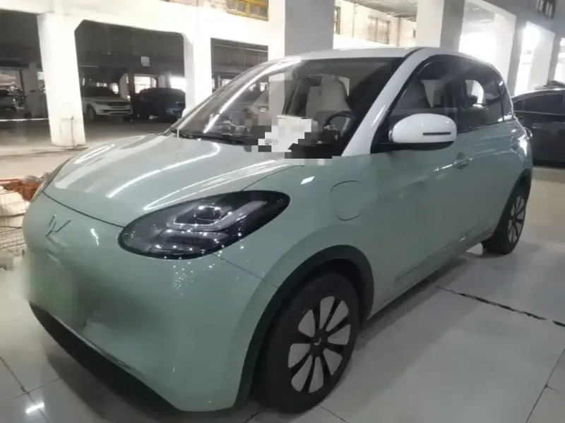 Wuling Bingo, 2024