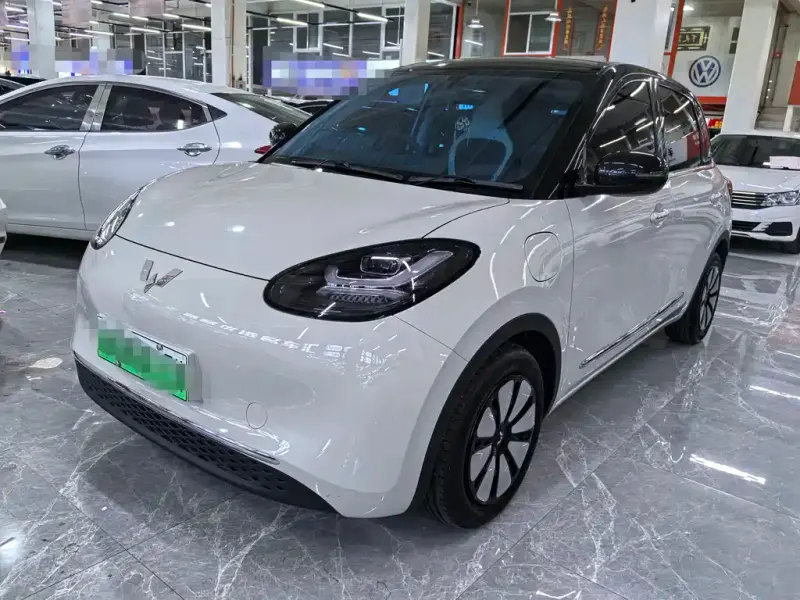Wuling Bingo, 2024