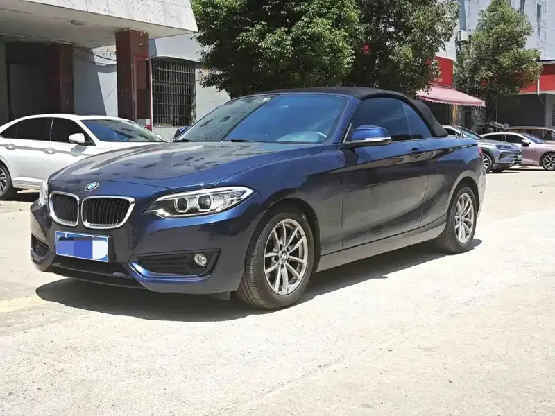 BMW 2 Series (Import), 2017