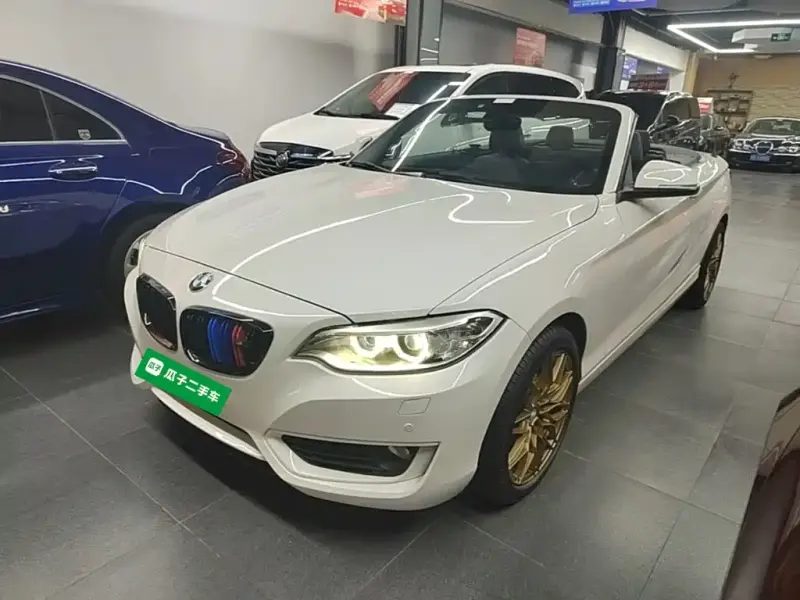 BMW 2 Series (Import), 2016