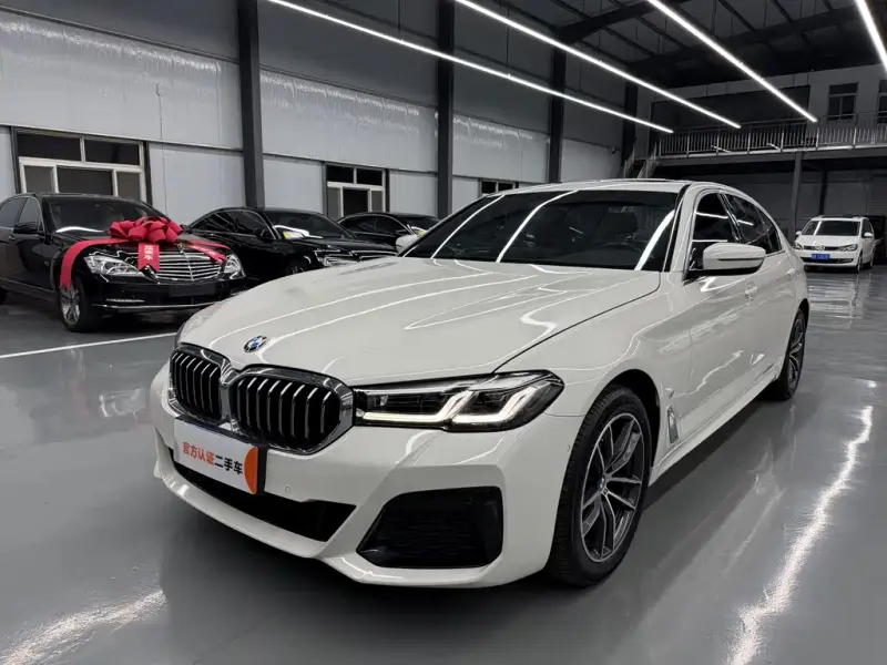 BMW 5 Series, 2021
