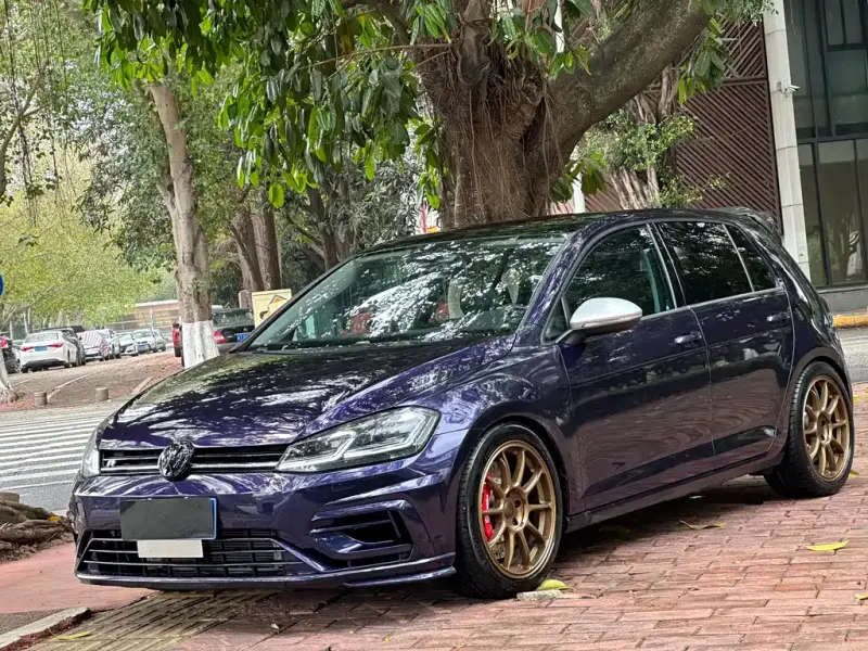 Volkswagen Golf, 2019