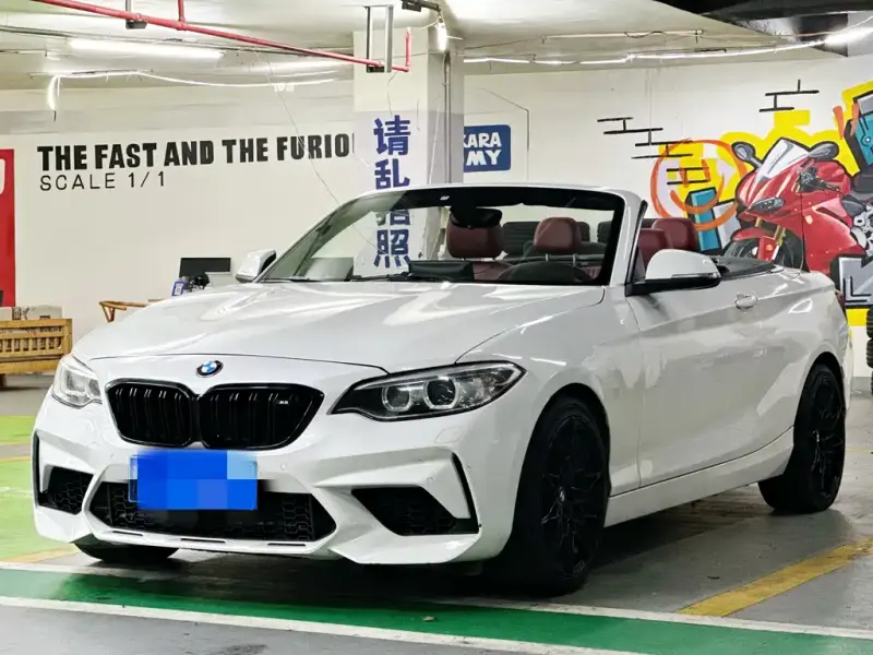 BMW 2 Series (Import), 2017