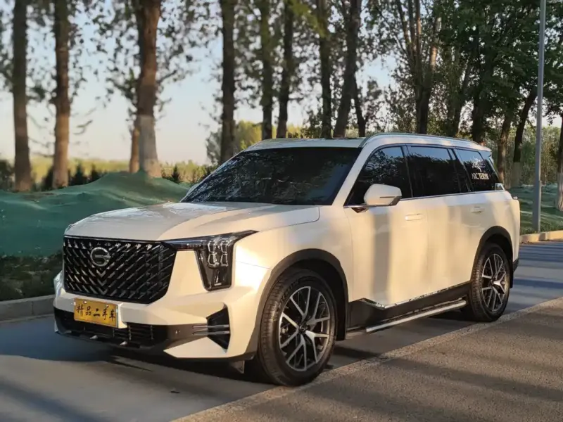 GAC Motor Trumpchi GS8, 2023 — фото 1
