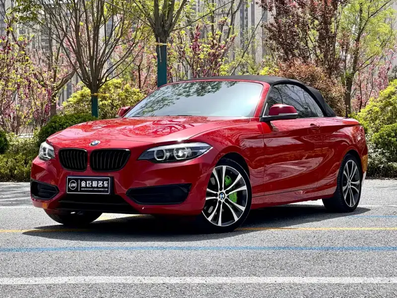 BMW 2 Series (Import), 2021 — фото 1