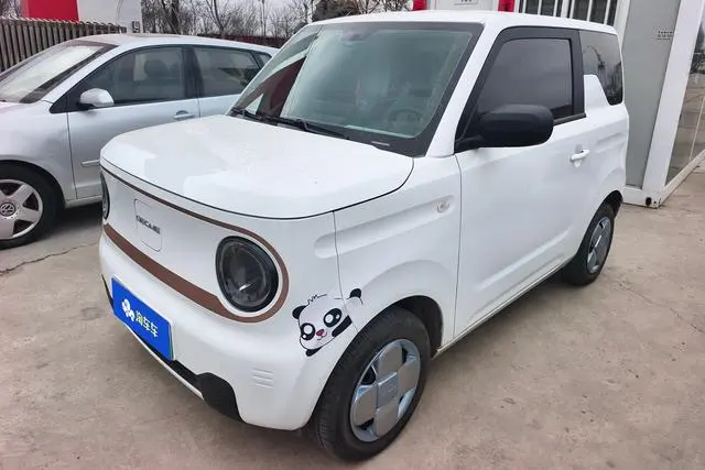 Galaxy Panda, 2024