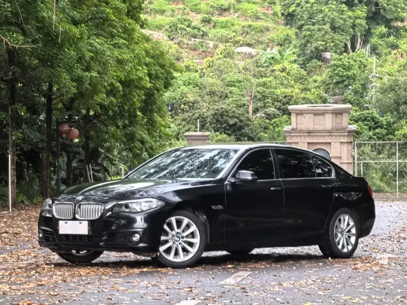 BMW 5 Series, 2015