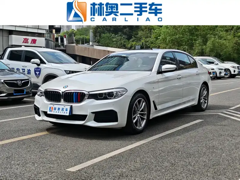 BMW 5 Series, 2019