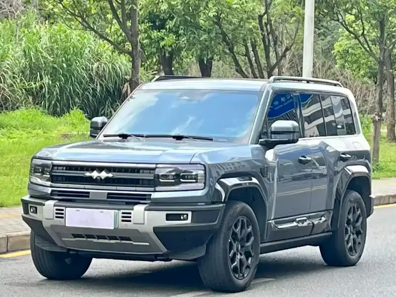 Fang Cheng Bao Leopard 5, 2024