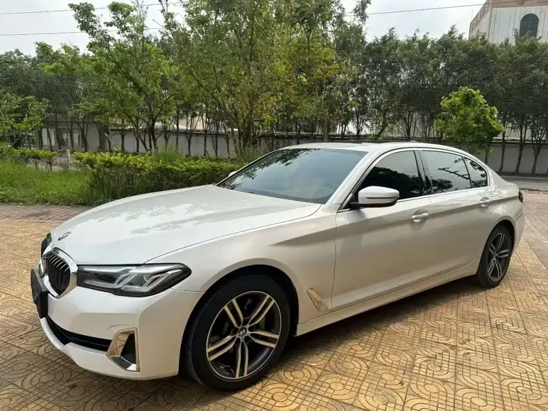 BMW 5 Series, 2020