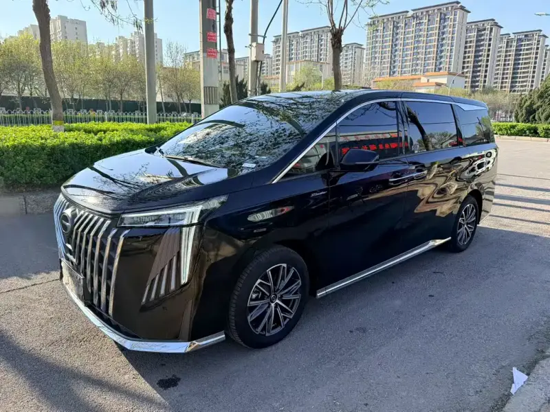 GAC Motor Trumpchi M8, 2024