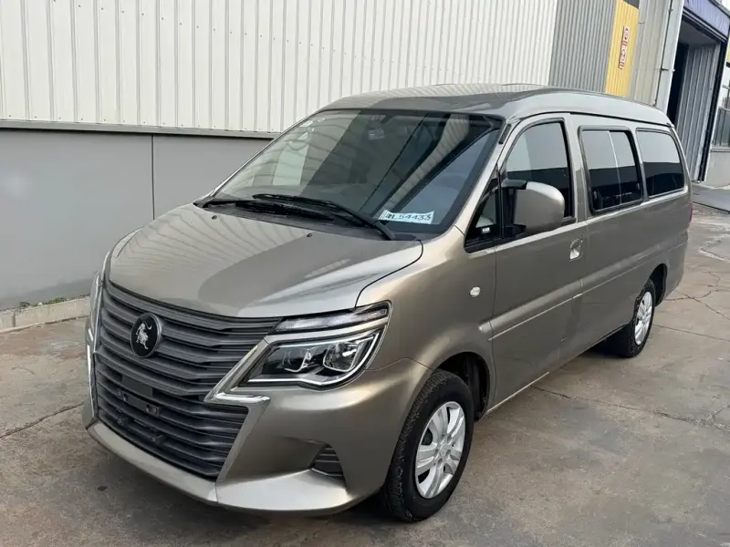 Fengxing Lingzhi, 2024