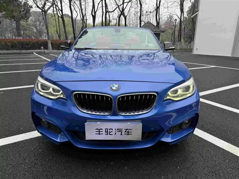 BMW 2 Series (Import), 2015
