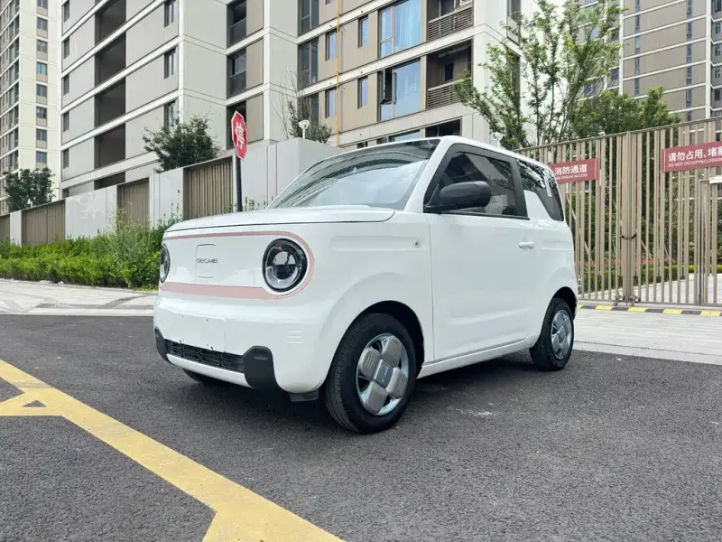 Galaxy Panda, 2024