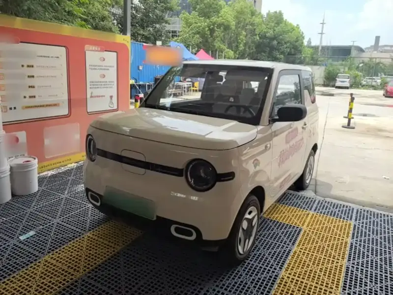 Galaxy Panda, 2025