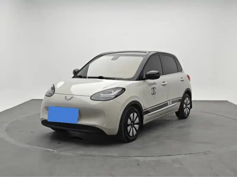 Wuling Bingo, 2024