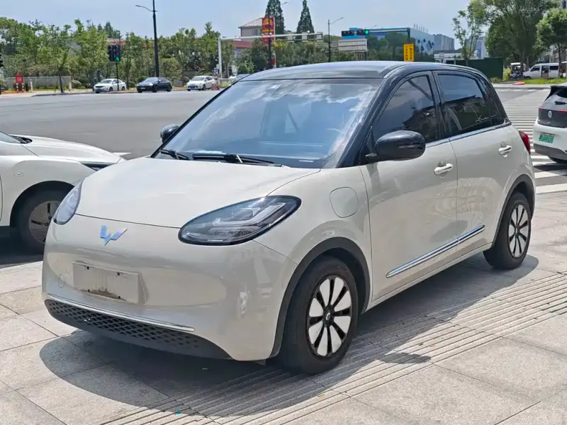Wuling Bingo, 2023