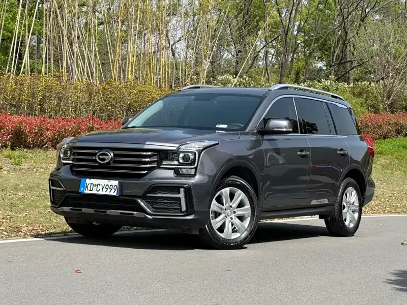 GAC Motor Trumpchi GS8, 2021