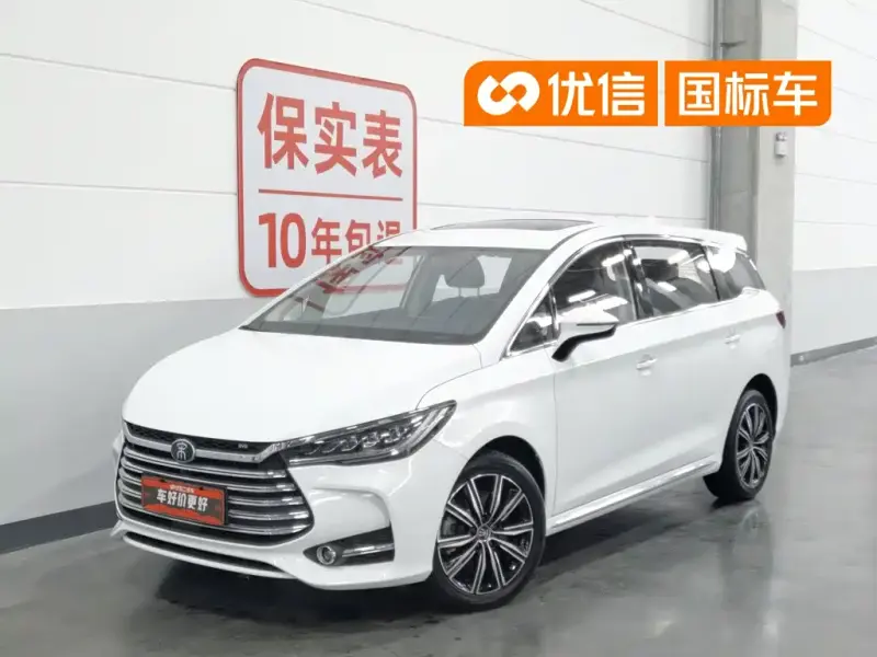 BYD MAX New Energy, 2020 — фото 1