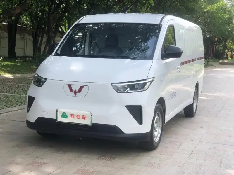 Wuling Yangguang, 2024