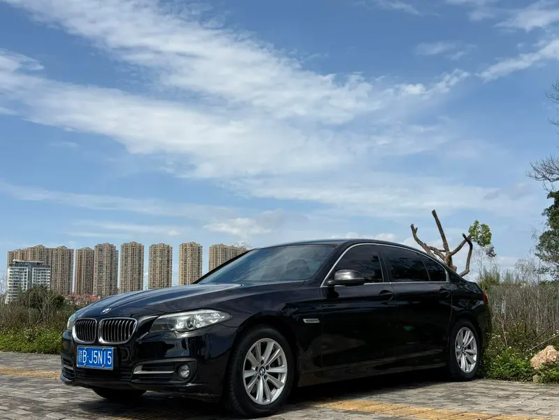 BMW 5-Series, 2014