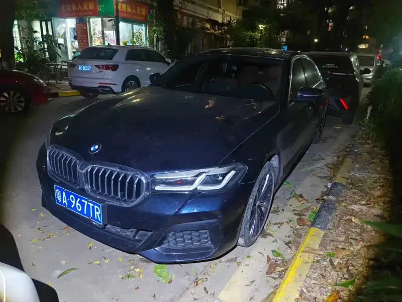 BMW 5 Series, 2021