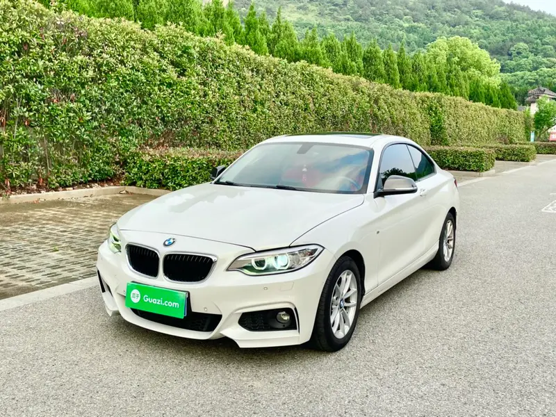 BMW 2-Series (Import), 2015
