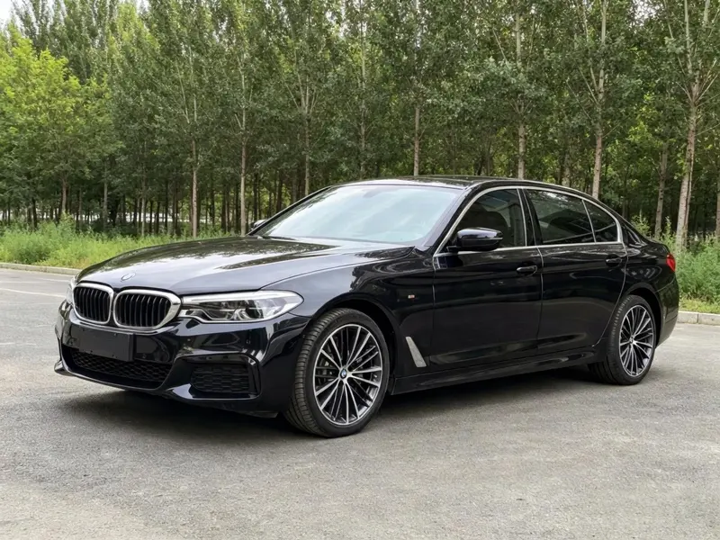 BMW 5-Series, 2020