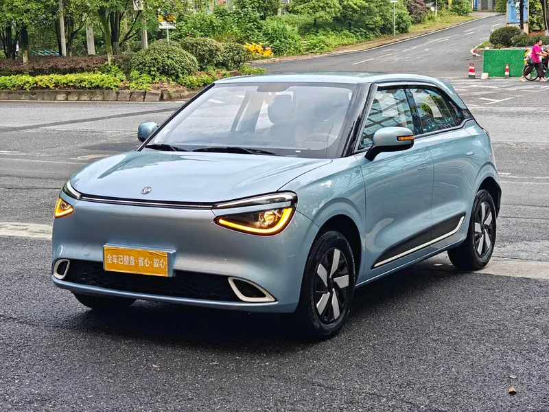 Dongfeng Yipai Nami 01, 2024