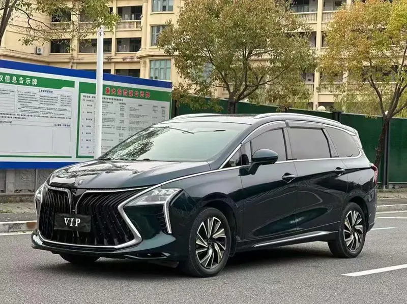 Dongfeng Fengxing Forthing Yacht, 2022