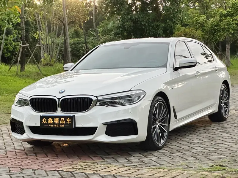 BMW 5-Series, 2020
