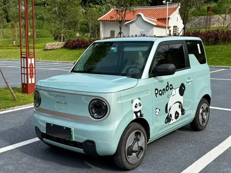 Galaxy Panda, 2023