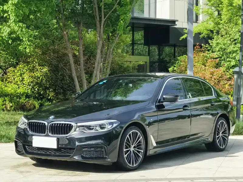 BMW 5 Series, 2019