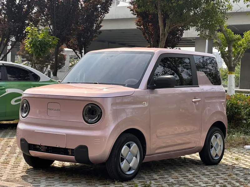 Galaxy Panda, 2023